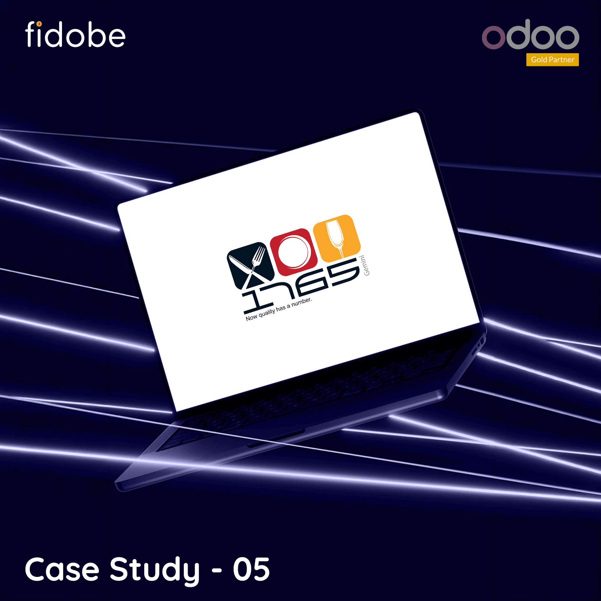 Odoo ERP Implementation for Hospitality Supply Chain in UAE: 1765 Gemini Success Story